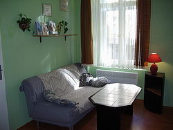 Apartmán na Letné - jine k pronájmu