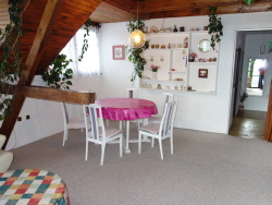 Apartmá u Bechyně I. - jine k pronájmu Apartmá u Bechyně I. - jine k pronájmu
